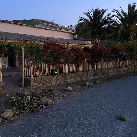 Les Lodges De La Plage U Dragulinu Sari-Solenzara Exteriör bild